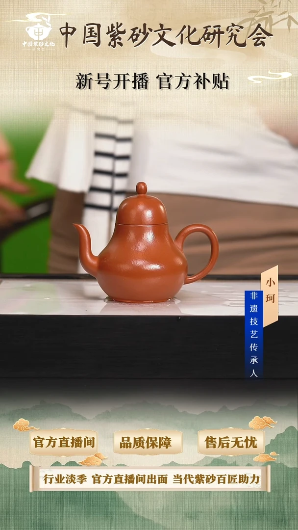 茶壶紫砂陶茶文化储 73大红袍260cc左右