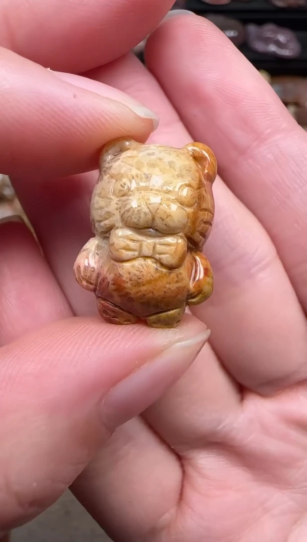 颈饰未镶嵌硅化珊瑚（珊瑚玉）737