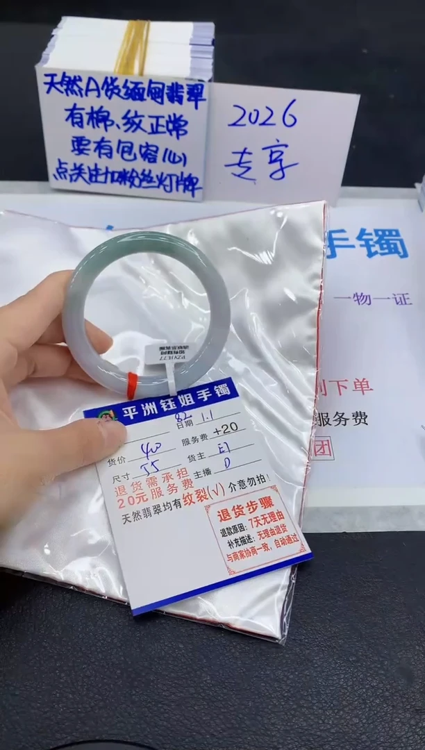 未镶嵌手镯翡翠1`