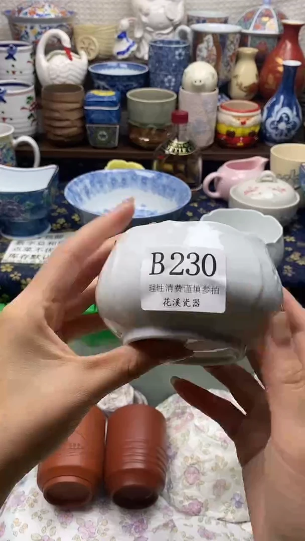 瓷片L****?           B230