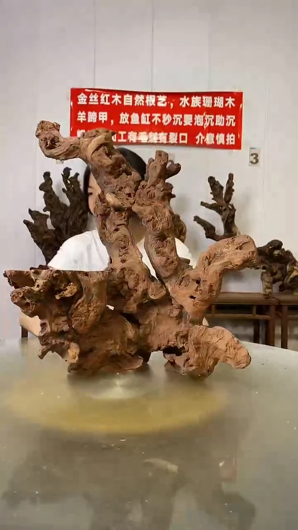 香榧木༺****༻金丝红木   羊蹄甲