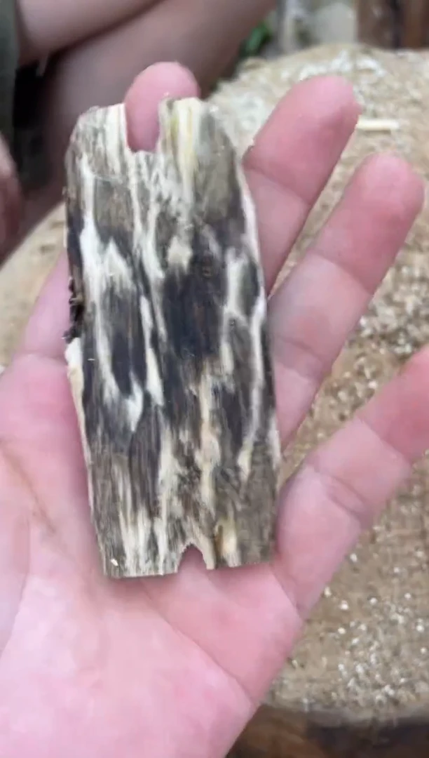 沉香沉香碎屑棋楠沉香 原料文创1