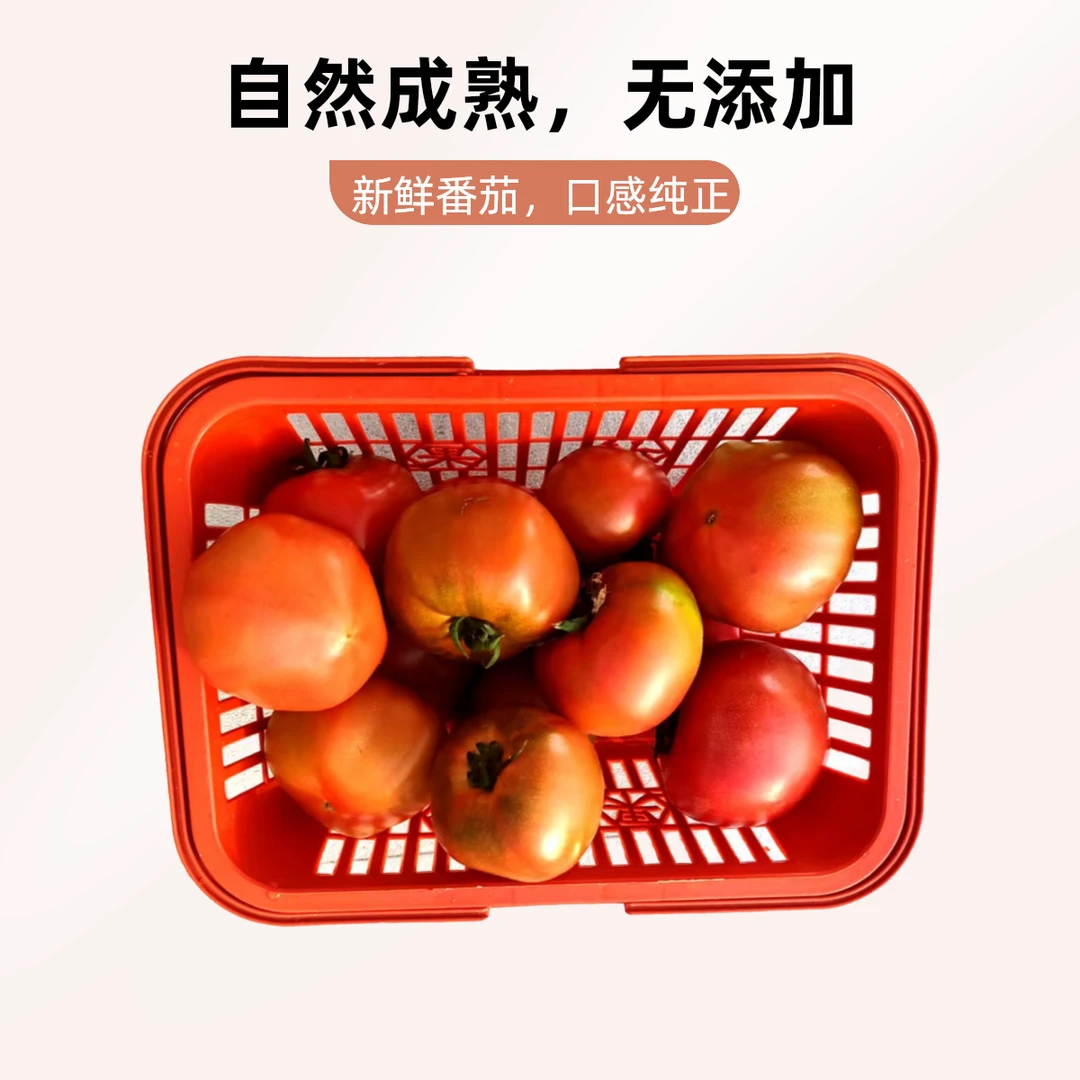 草莓小番茄三斤家庭装新鲜番茄同城配