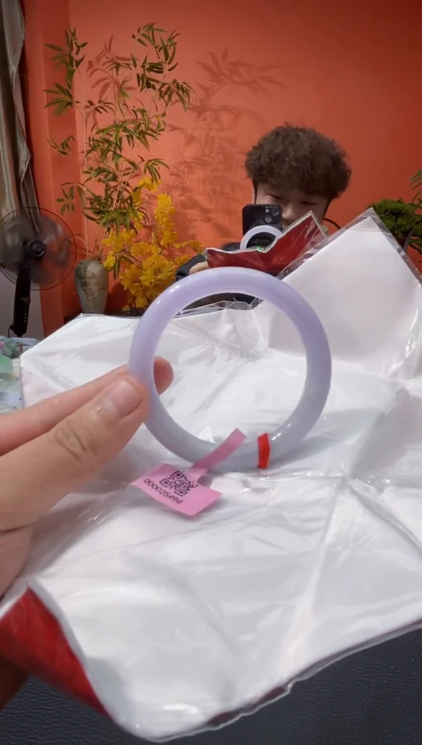 未镶嵌手镯翡翠8