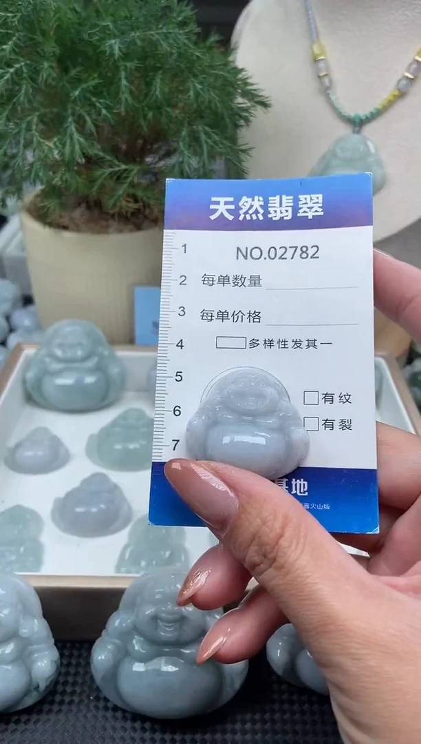 颈饰未镶嵌翡翠纯天然A货翡翠2782