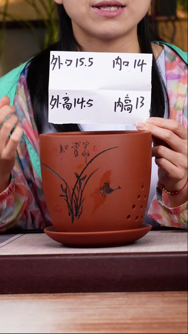 紫砂花盆清水泥君子兰2号一只带托