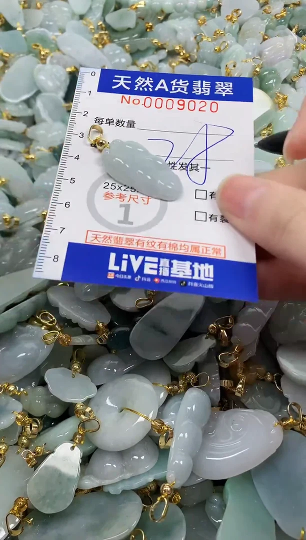 颈饰未镶嵌翡翠纯天然a货翡翠