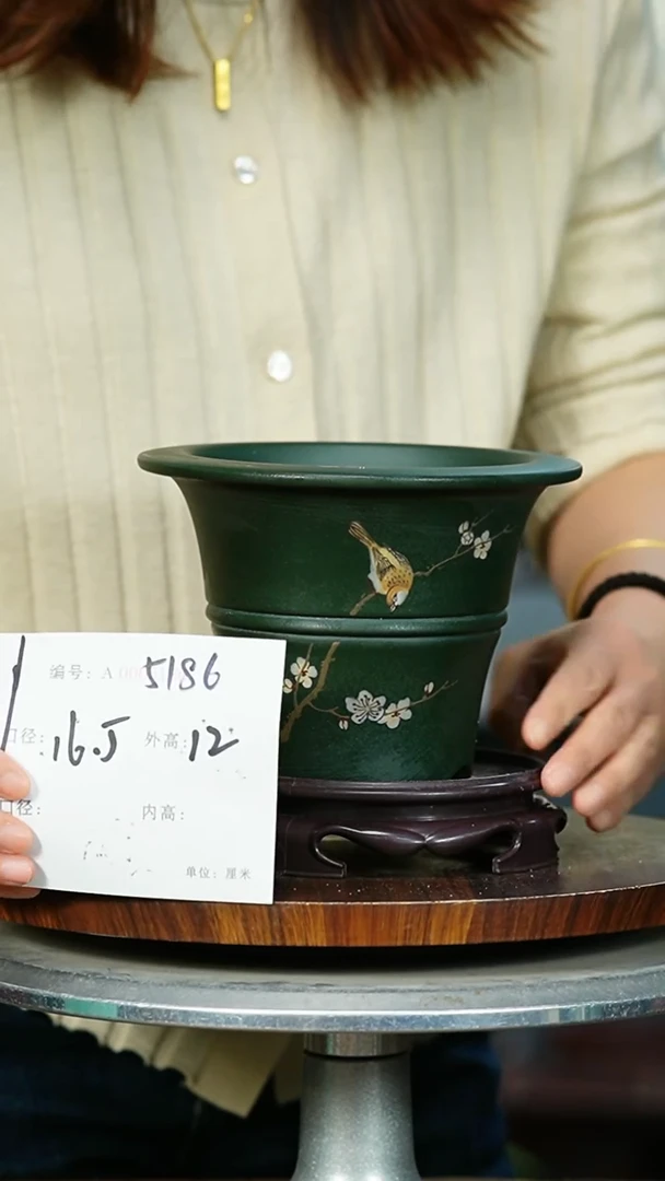 完全开放花卉园艺5186+s