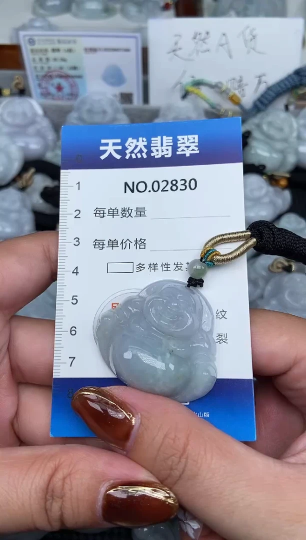 颈饰未镶嵌翡翠纯天然A货翡翠2830