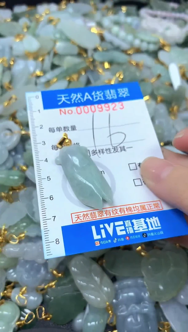 颈饰未镶嵌翡翠净货挂件-9923