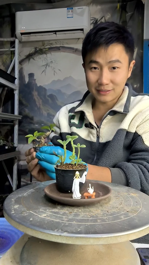 嫣**笑中青园艺一物一拍花78