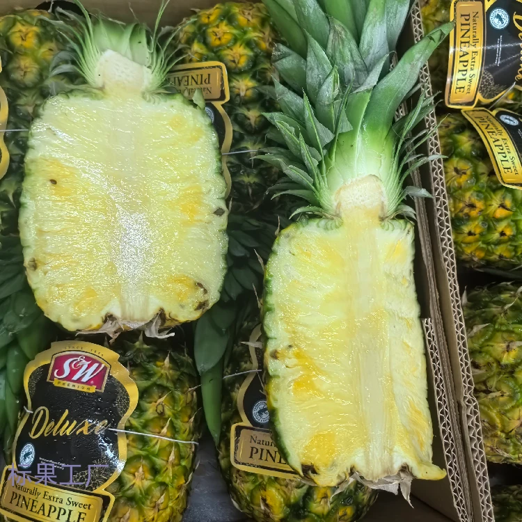 sw菲律宾进口凤梨，38元一个新鲜