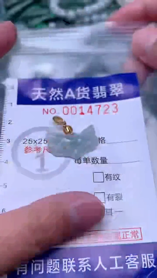 吊坠(赠链)未镶嵌翡翠1
