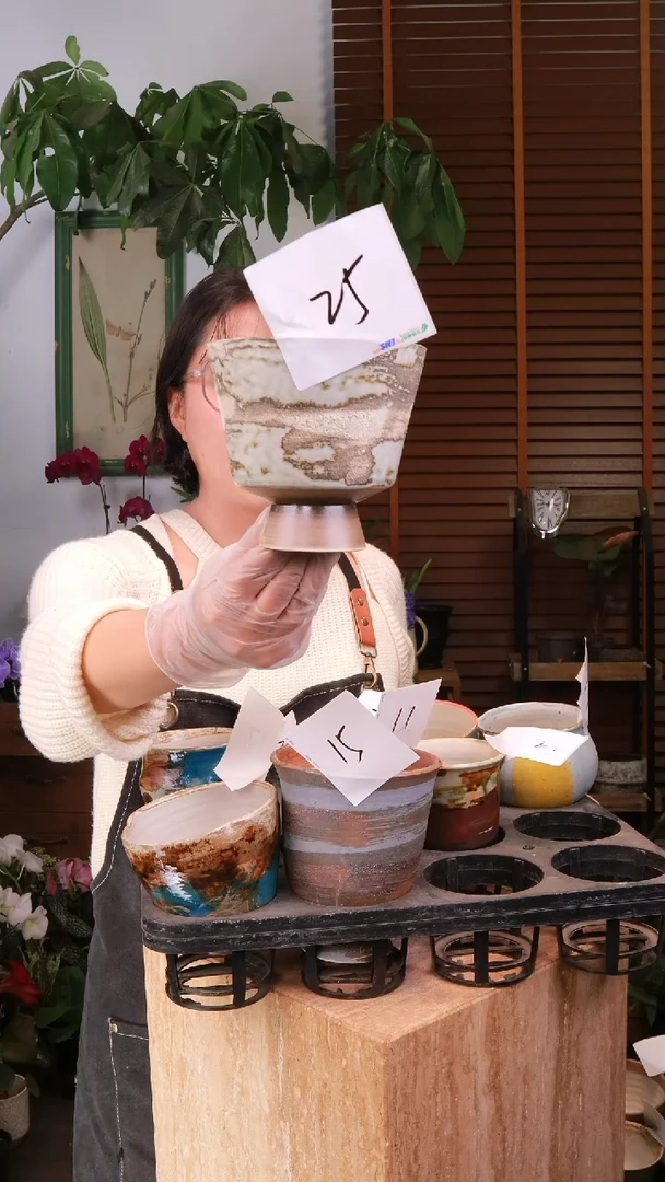 无花朵 25 景德镇陶瓷盆 中通包邮