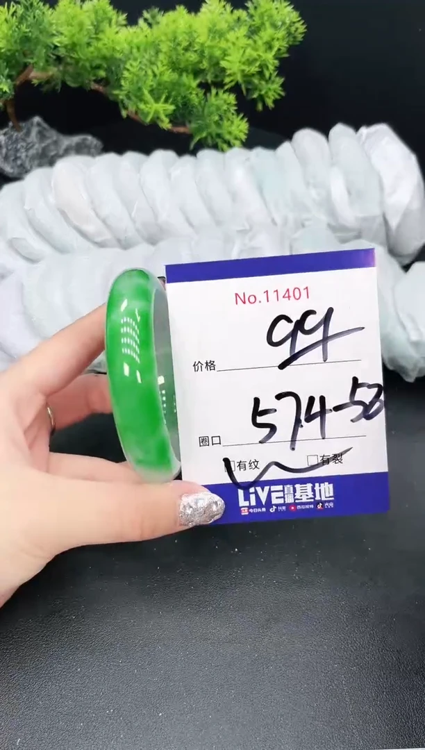 未镶嵌手镯翡翠11401