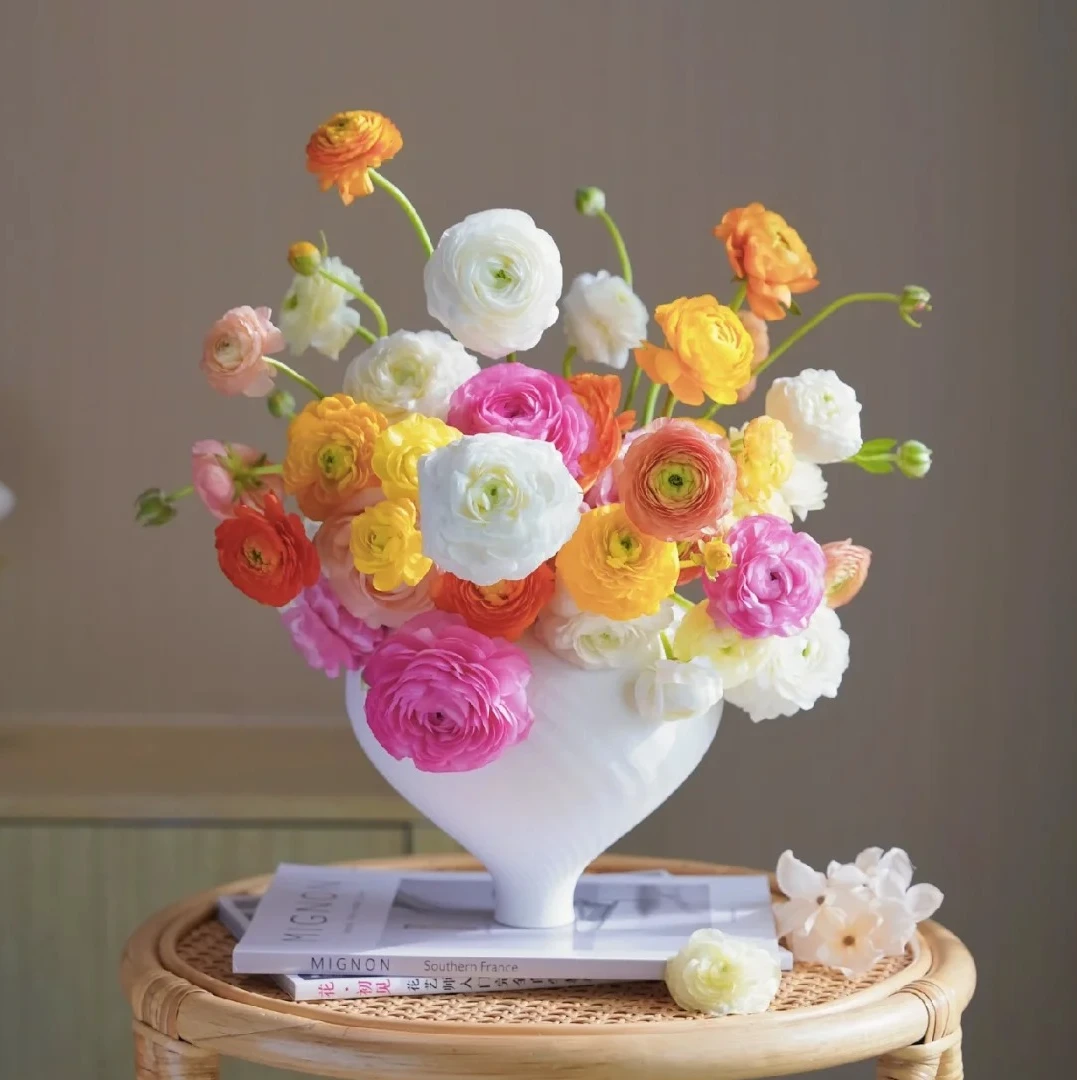 福袋专用【洋牡丹】高品质水培鲜切花/花期长/居家氛围感