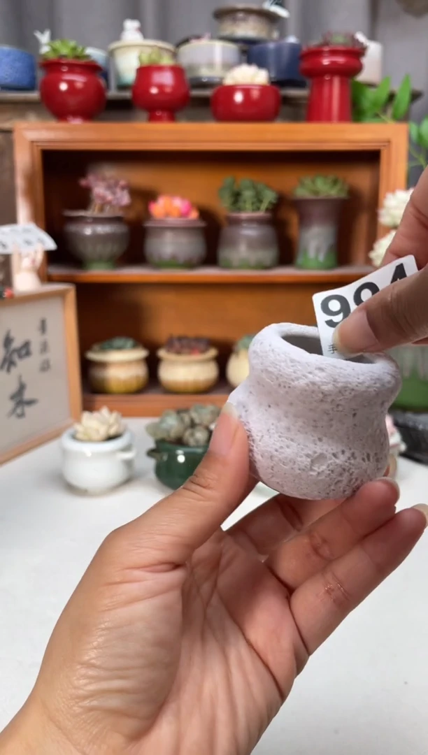 瓷片994知木小芳花盆