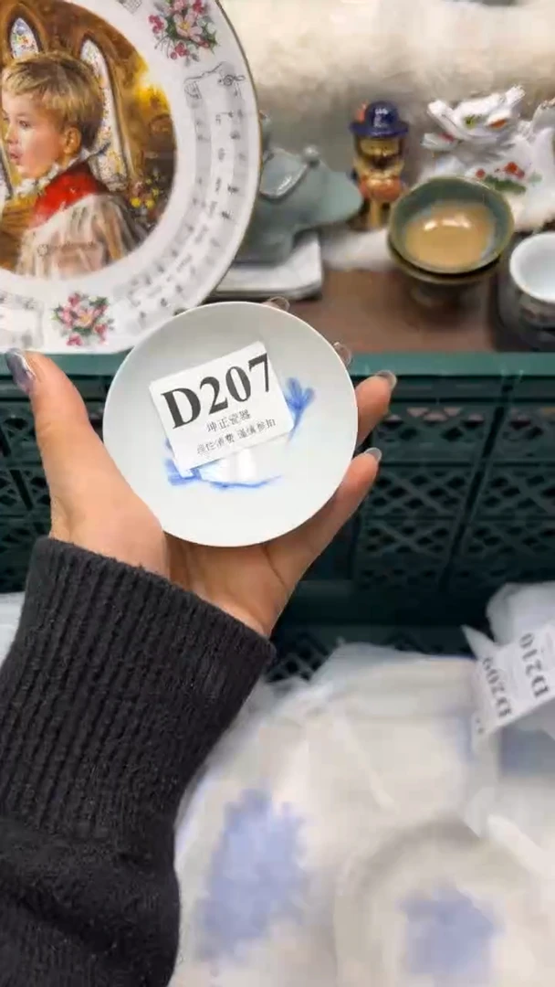 【闪购商品】瓷片          D207