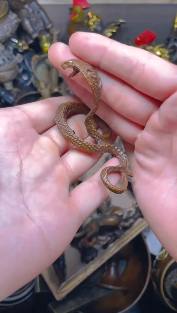 点击链接下单即可