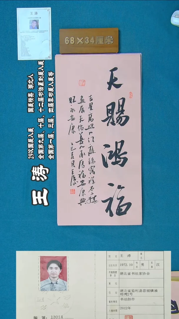 书法89a王涛书法作品