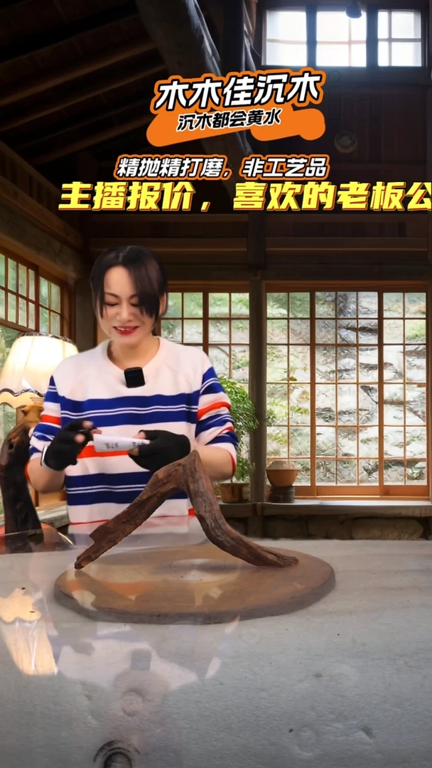 塔**塔木木佳沉木鱼缸造景