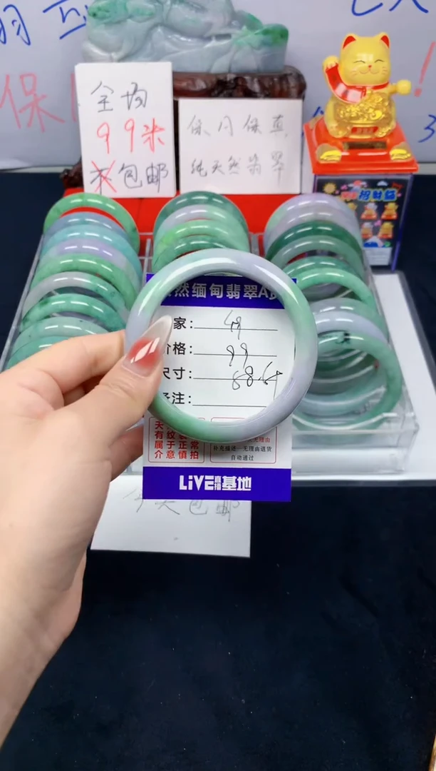 未镶嵌手镯翡翠49