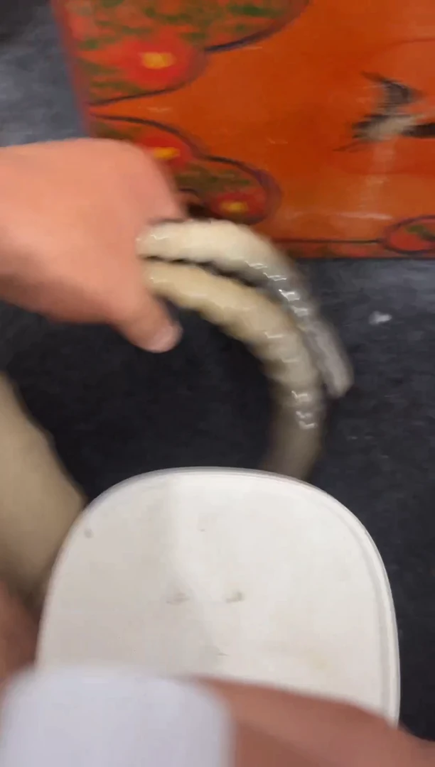 摆件直播精选推荐