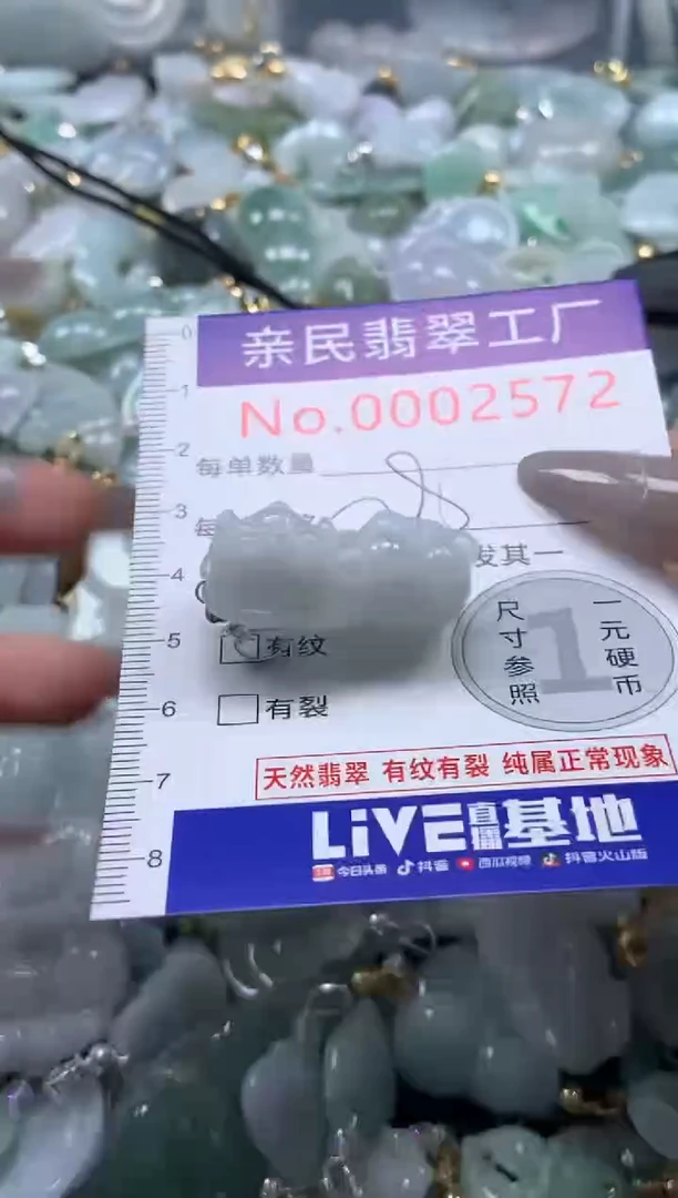 颈饰未镶嵌翡翠2572