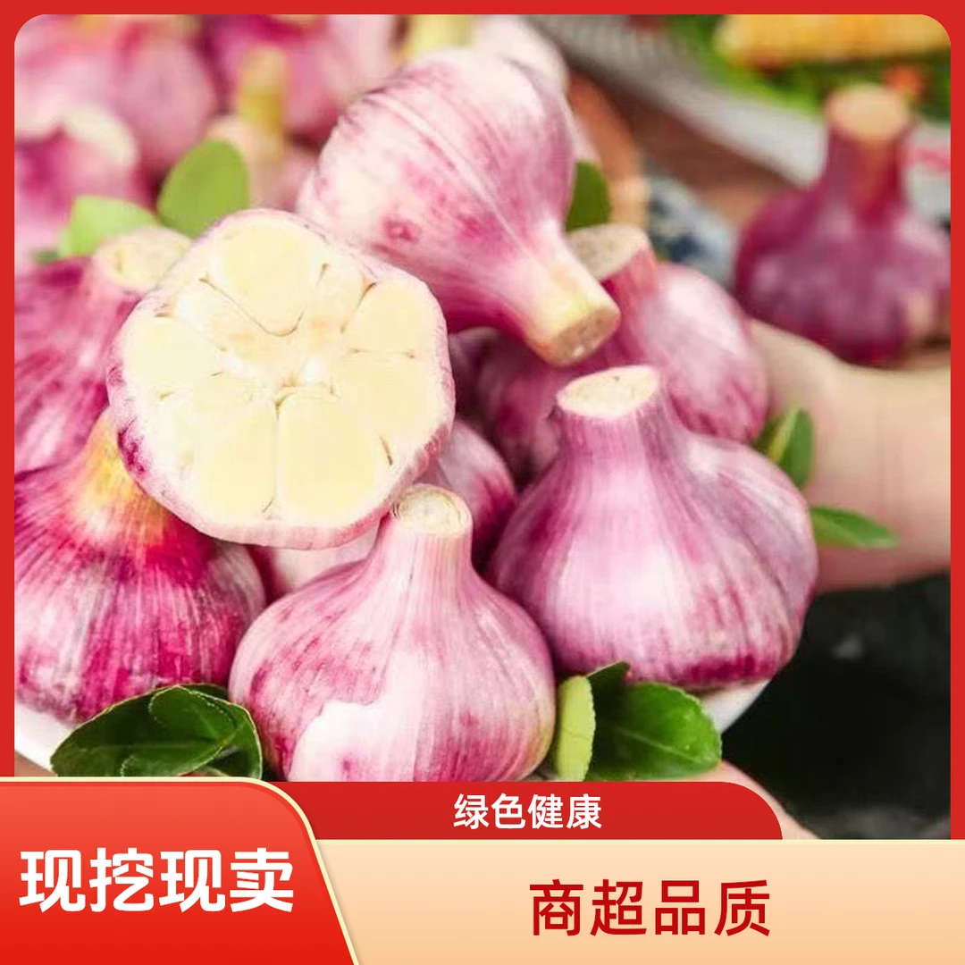 河南杞县新鲜现挖紫皮多瓣大蒜头可腌制糖醋蒜厨房调味品5斤