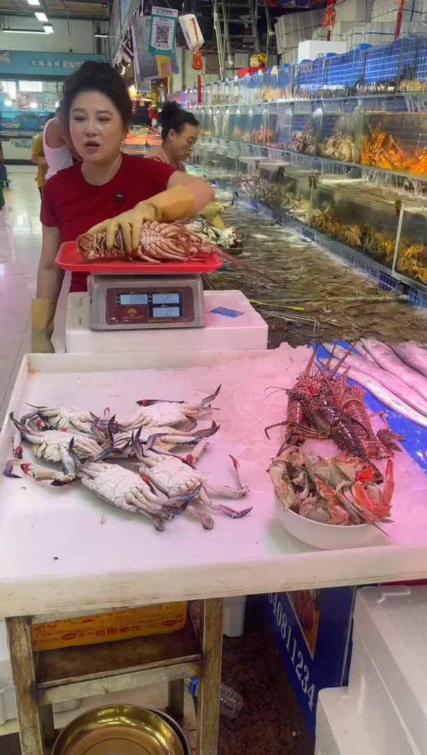 中国大陆断氧古巴龙1只，2斤