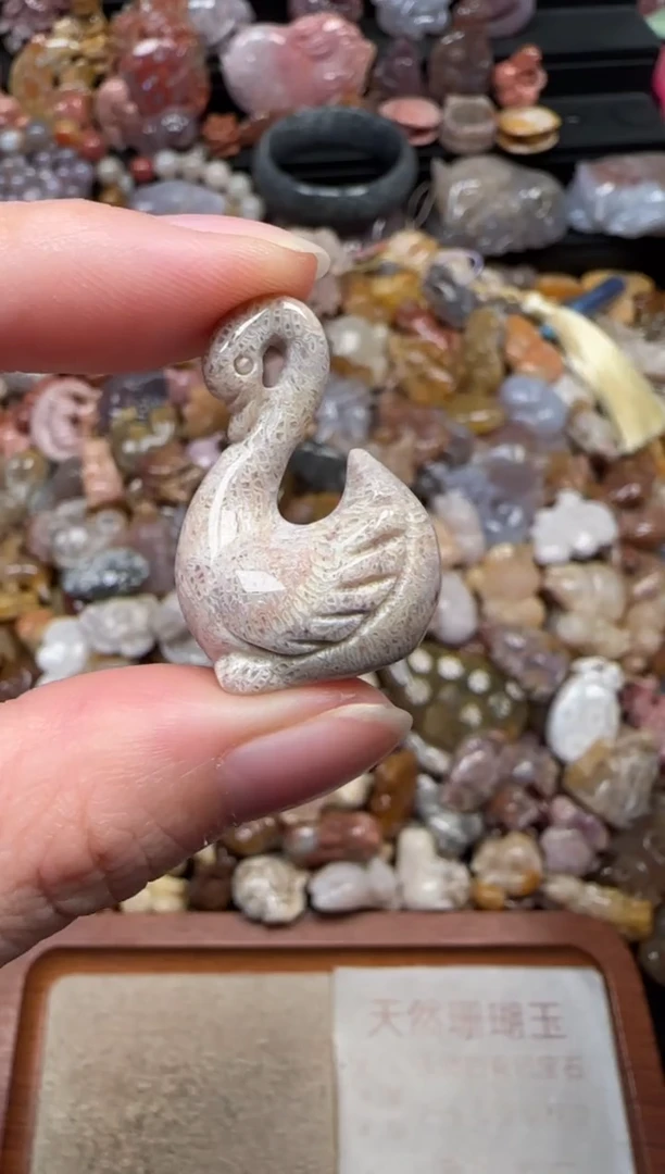 颈饰未镶嵌硅化珊瑚（珊瑚玉）719