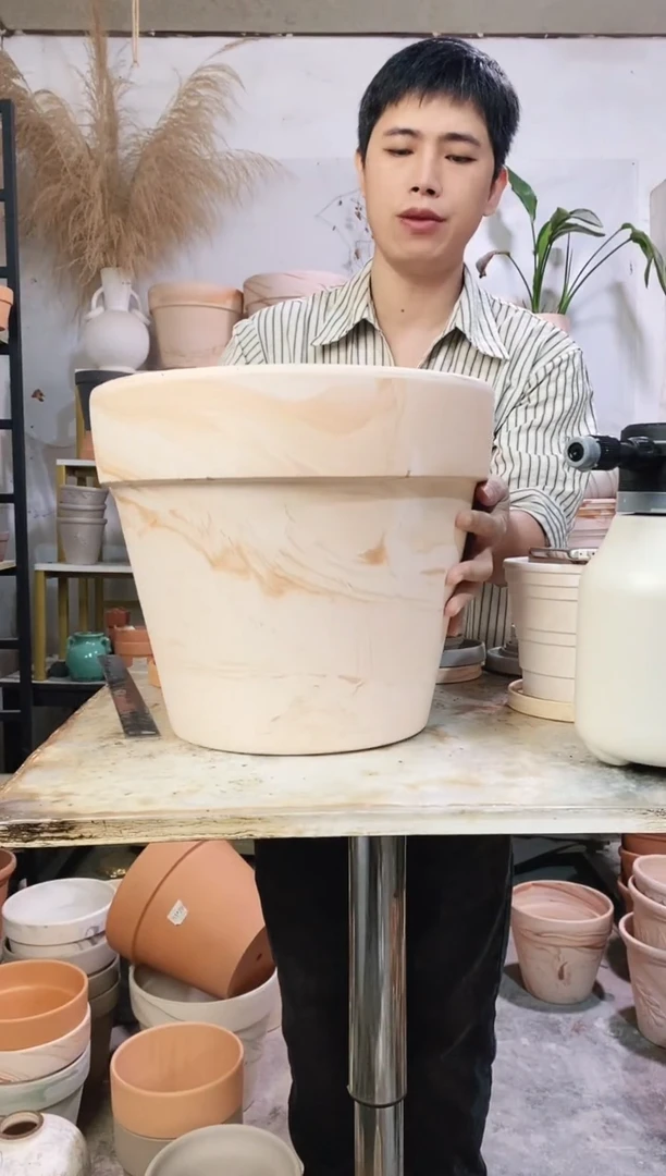 35*30玛奇朵 1盆无托