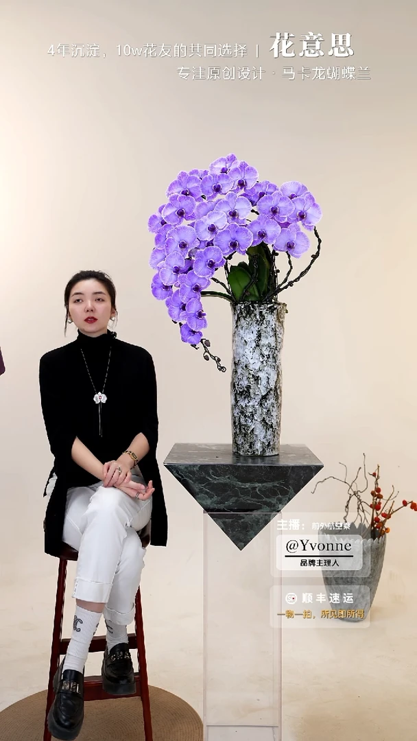 全部花朵016一物一拍蝴蝶兰艺术盆景