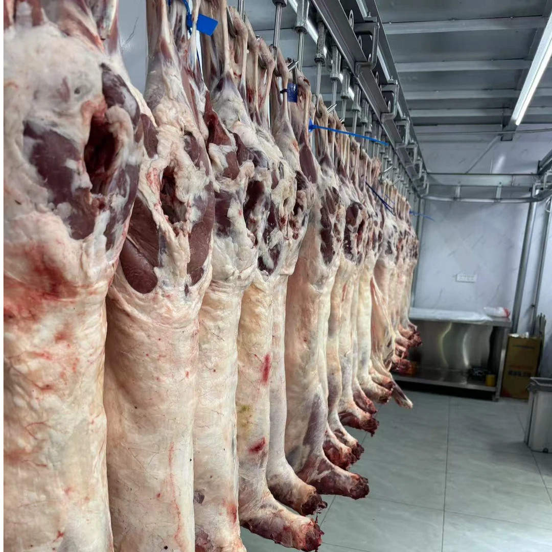 塔城纯草羊娃子-整羊-全国包邮