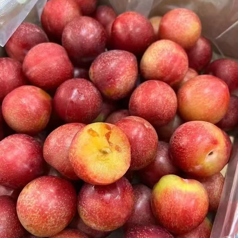 可拍可送【樱桃李】一件约4.5斤