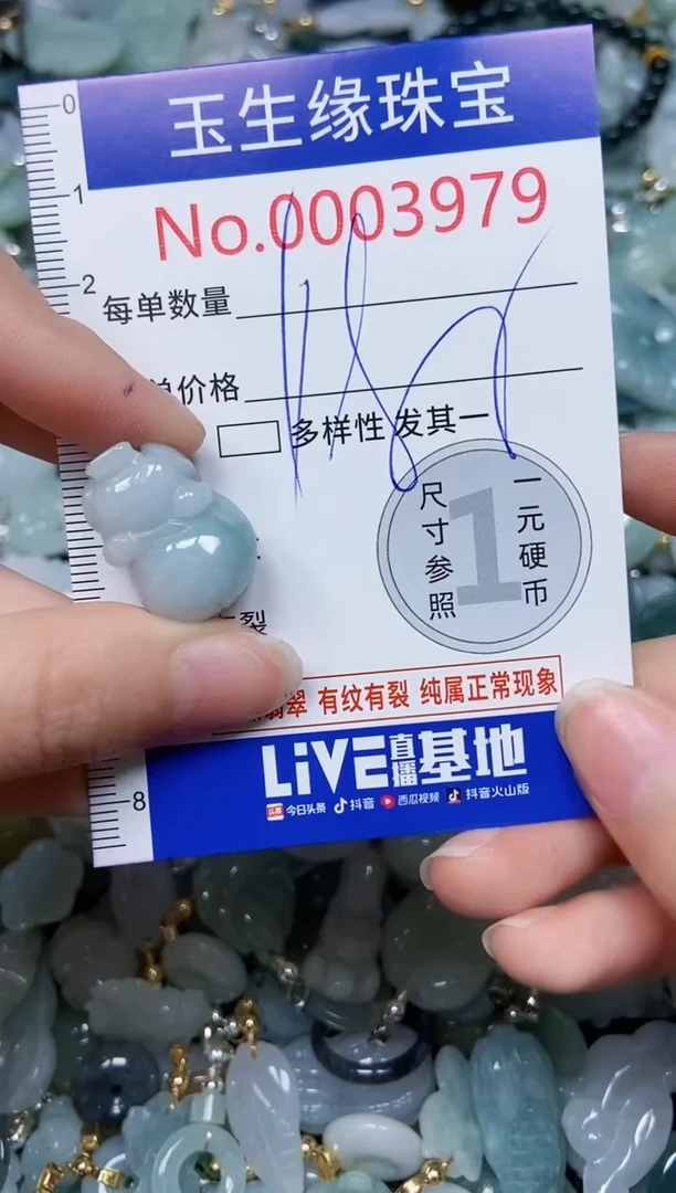 【闪购商品】翡翠颈饰未镶嵌闪购00003979