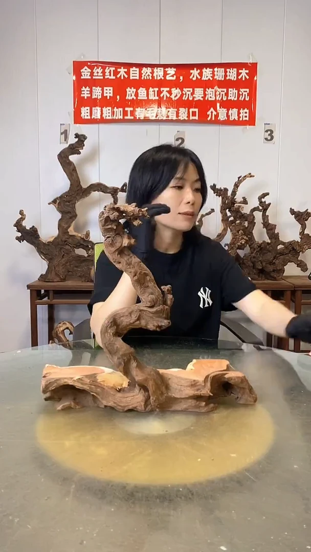 香榧木万**一金丝红木   羊蹄甲