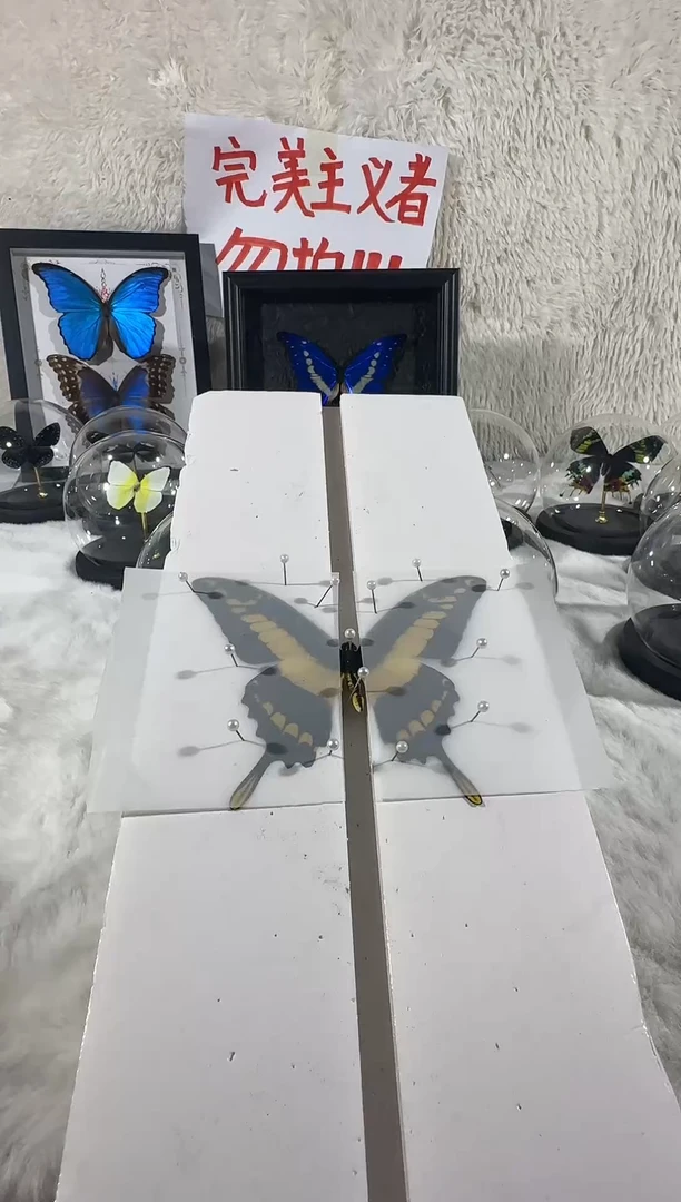 木敏智水晶球超大