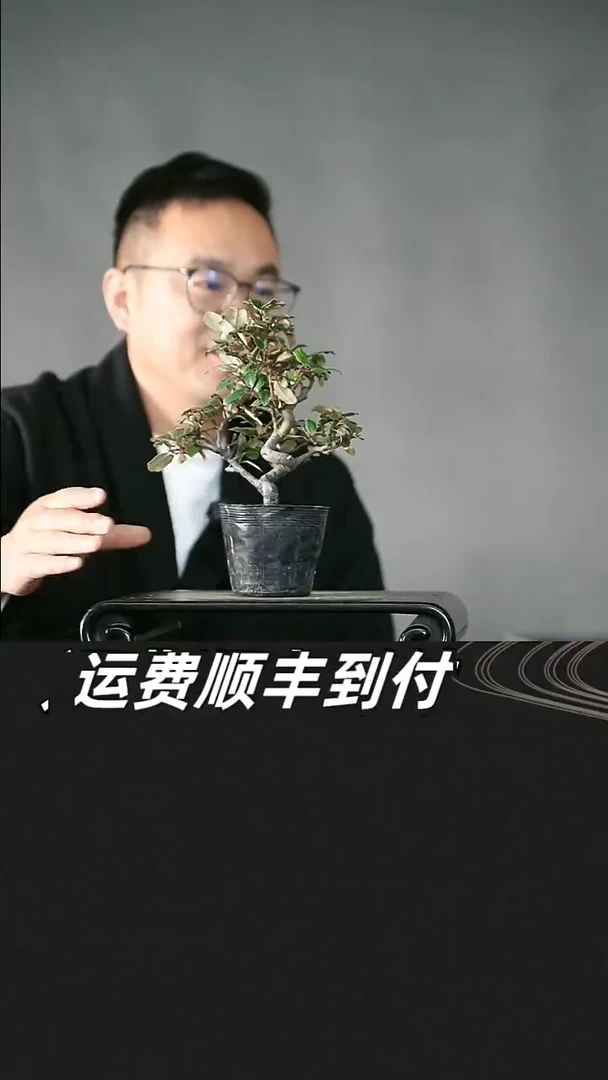 无花朵23