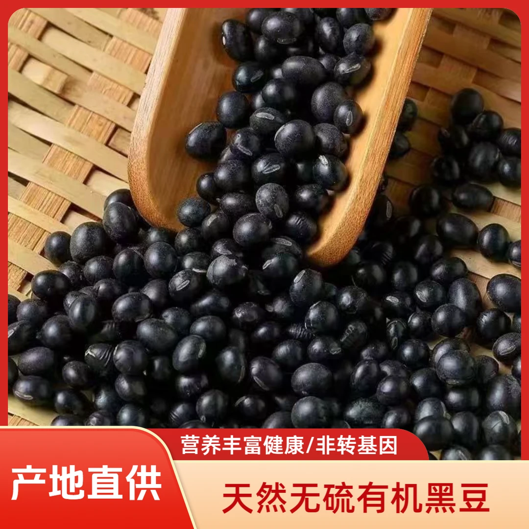 东北农家自产黄芯黑豆500g打豆浆泡水专用天然健康非转基因黑豆