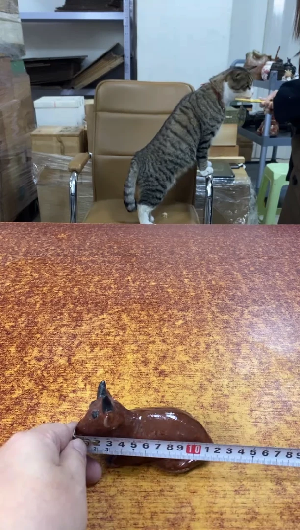 瓷片891小林轩欢迎您