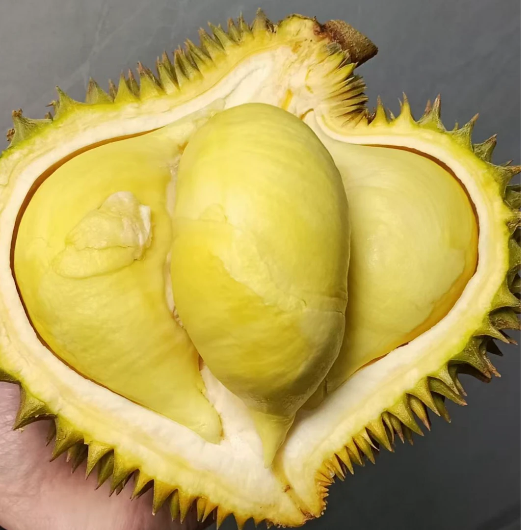【巴掌】 干包树熟泰国空运金枕核小肉厚新鲜榴莲细腻丝滑/斤金枕泰国
