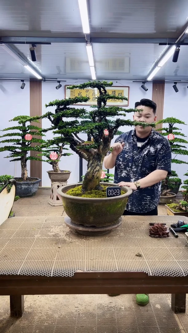 无花朵一物一拍，所见即所得