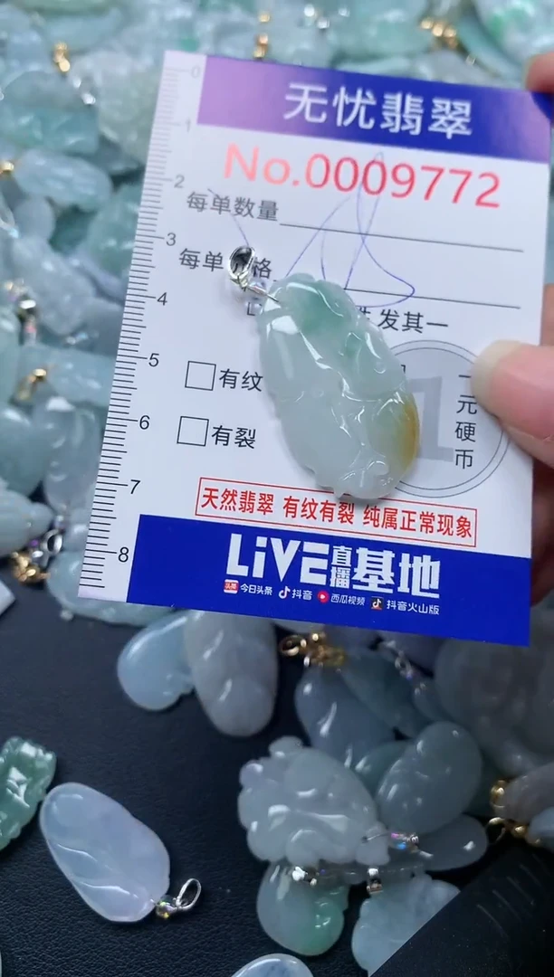 颈饰未镶嵌翡翠9772