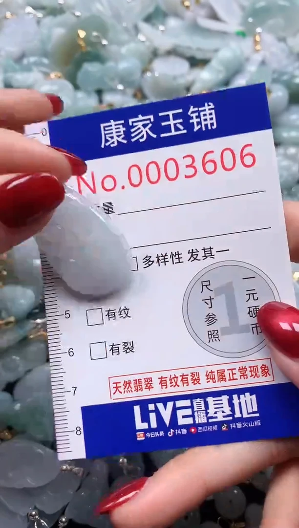 颈饰未镶嵌翡翠3606