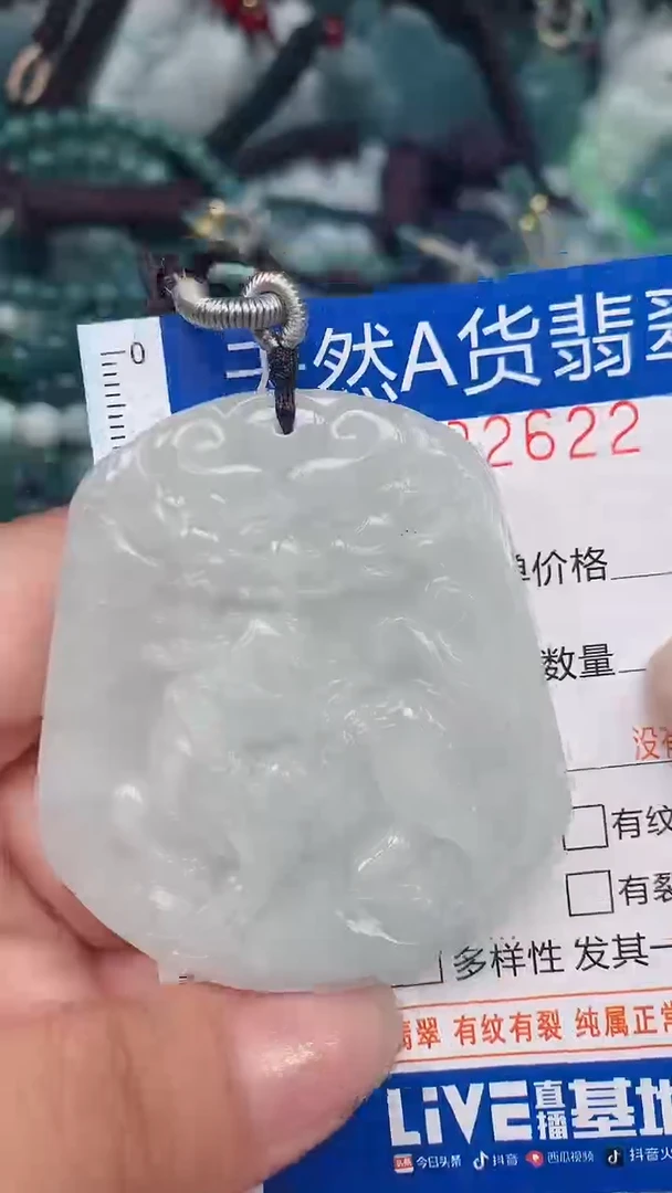 翡翠未镶嵌颈饰...0002622