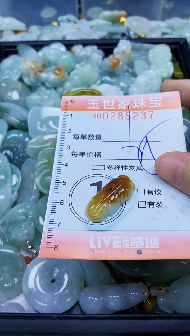 翡翠未镶嵌颈饰闪购0285237