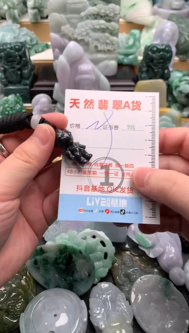 吊坠(不含链)未镶嵌翡翠1