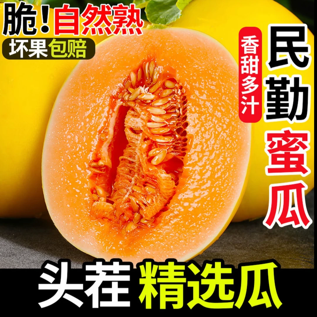 正宗甘肃民勤蜜瓜多汁果肉香甜当季甜瓜含箱9-10斤