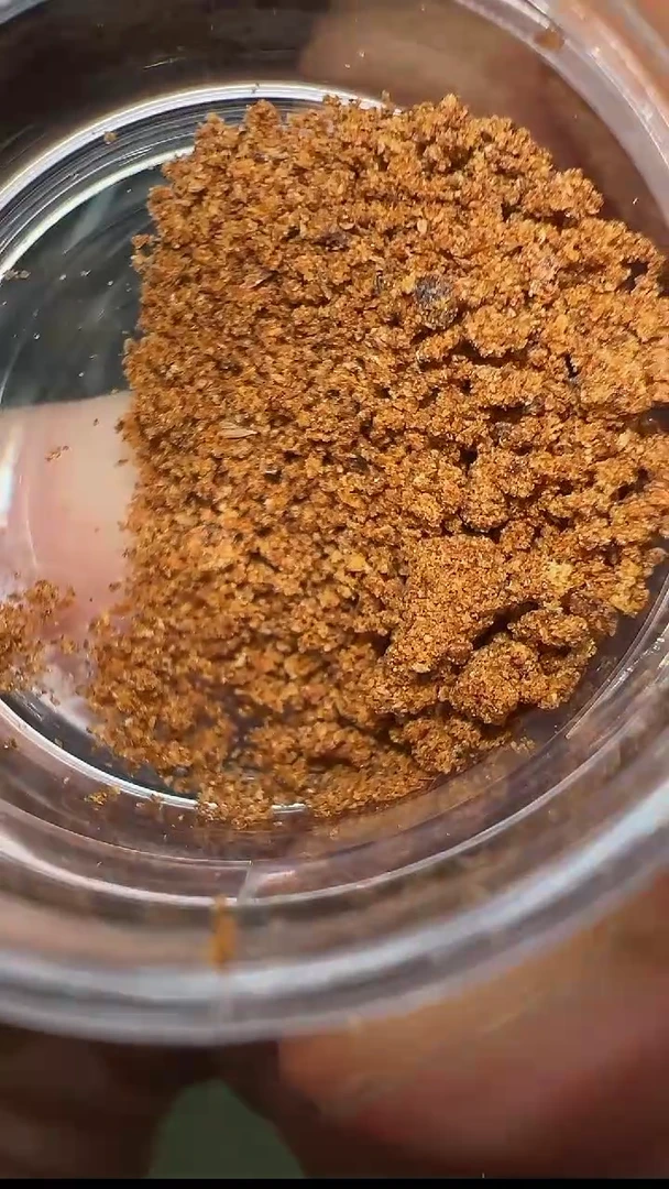 【闪购商品】沉香越南芽庄白棋锯沫0.2g